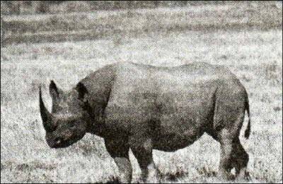 «Открытия и гипотезы» №2, 2012 - i_020.jpg