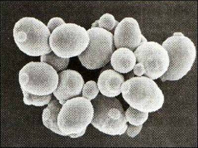 «Открытия и гипотезы»  №2, 2012 - i_024.jpg