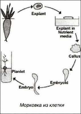 «Открытия и гипотезы» №3, 2012 - i_019.jpg