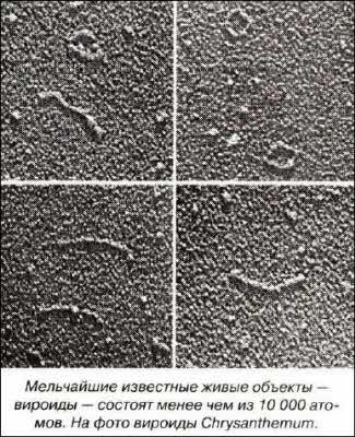 «Открытия и гипотезы» №3, 2012 - i_029.jpg