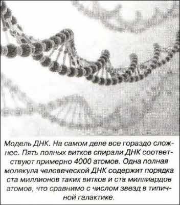 «Открытия и гипотезы» №3, 2012 - i_030.jpg