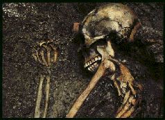 Помпеи: Сгинувший город - _124.jpg