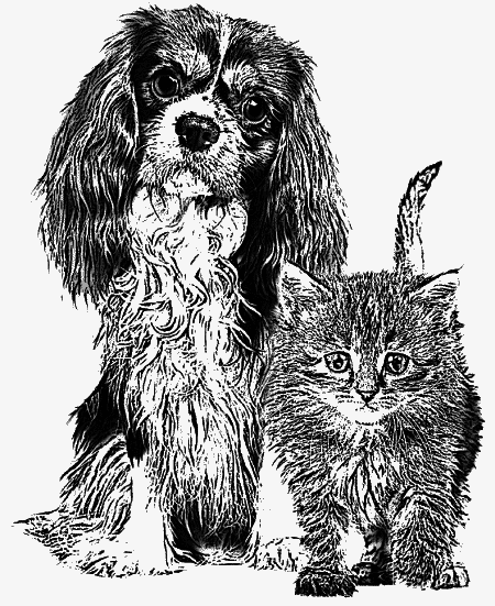 Правдивые истории о чудесах и надежде - i_001.png