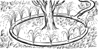 Практичные самоделки для дачи своими руками - _69.png