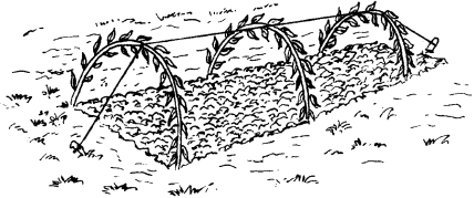 Практичные самоделки для дачи своими руками - _142.png