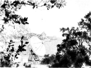 Разум побеждает: Рассказывают ученые - i_010.jpg