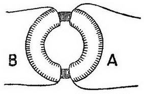 Самодельные электрические и паровые двигатели - img_73.jpg