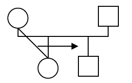 Системная психотерапия супружеских пар - i_006.png