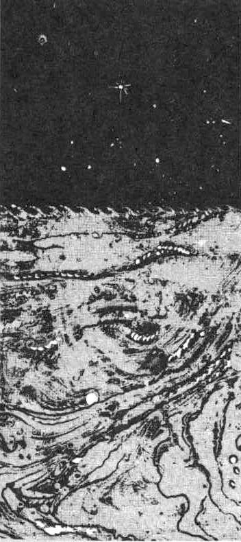 Струна звенит в тумане... - i_019.jpg