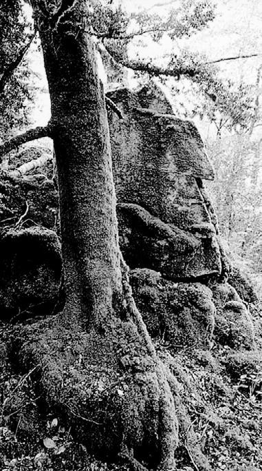 Тайны древних цивилизаций. Том 2 - i_009.jpg