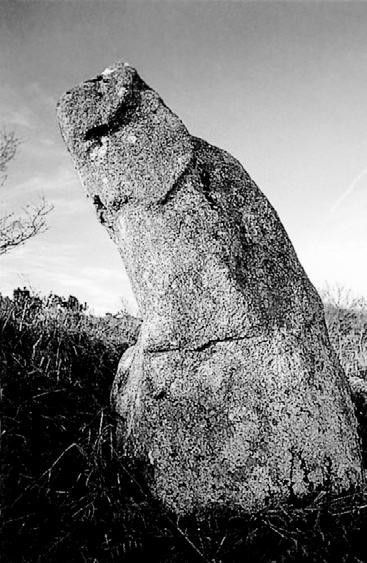 Тайны древних цивилизаций. Том 2 - i_011.jpg