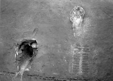 Техника и вооружение 2007 02 - _36.jpg