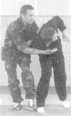 Уличное самбо. Эффективная самозащита и система реального боя - i_007.jpg