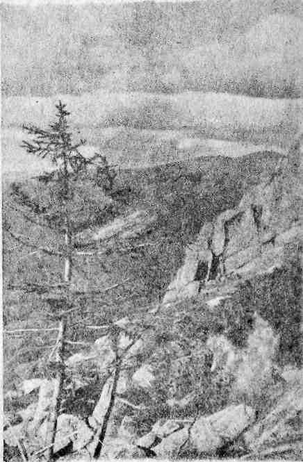 Урал — земля золотая - img_6.jpeg