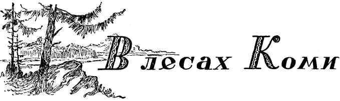 Урал — земля золотая - img_75.jpeg