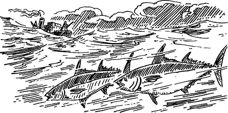 У рыбацкого костра - _47.jpg