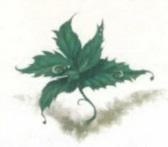 Фея. Динь-Динь и верные друзья: Сказочная повесть - _7.jpg