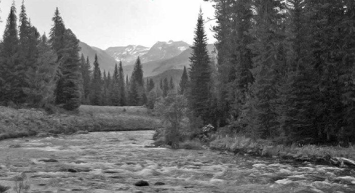 Целительные силы Алтая - i_001.png