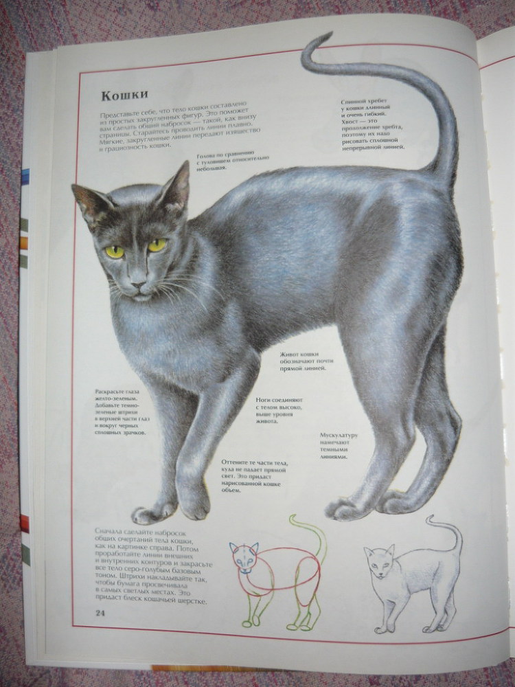 Энциклопедия рисования - _24.jpg