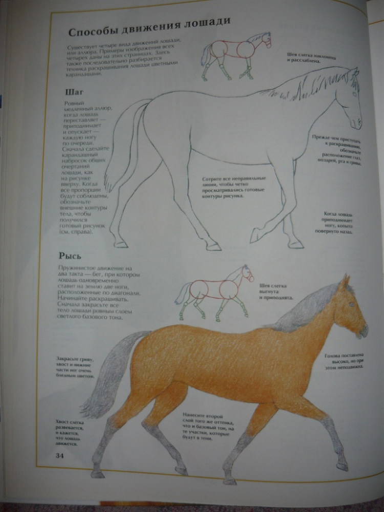 Энциклопедия рисования - _34.jpg