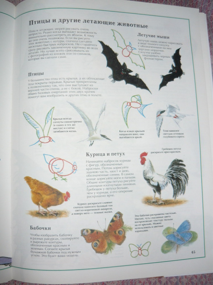 Энциклопедия рисования - _45.jpg