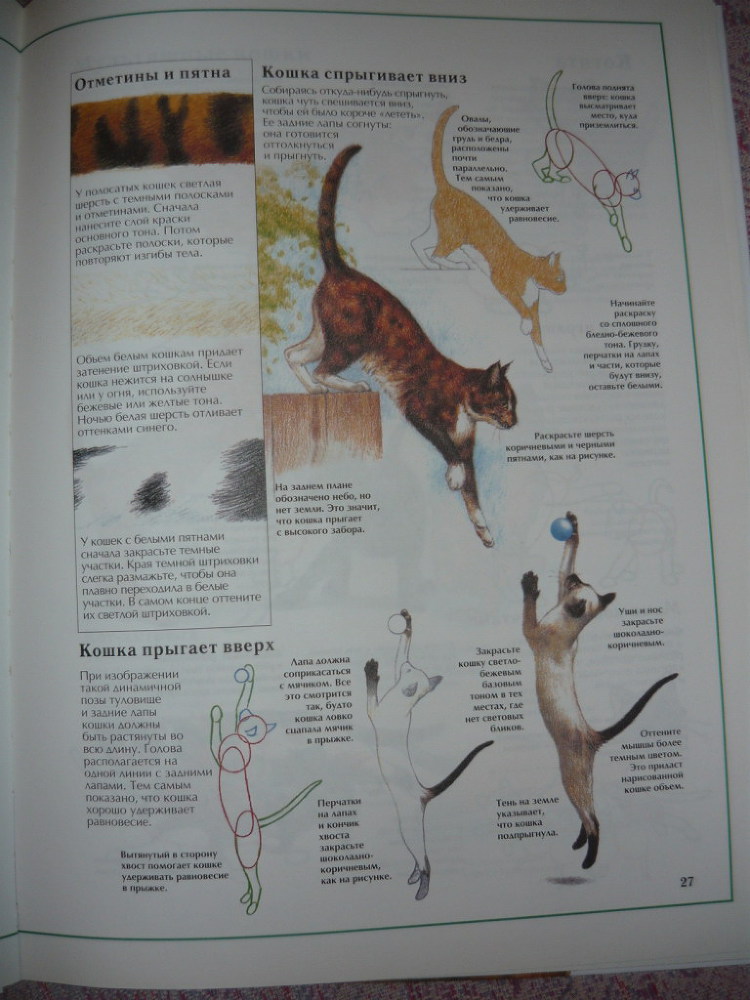 Энциклопедия рисования - _27.jpg