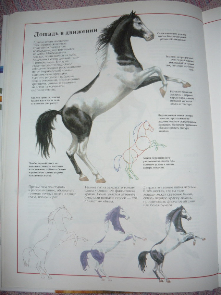 Энциклопедия рисования - _36.jpg