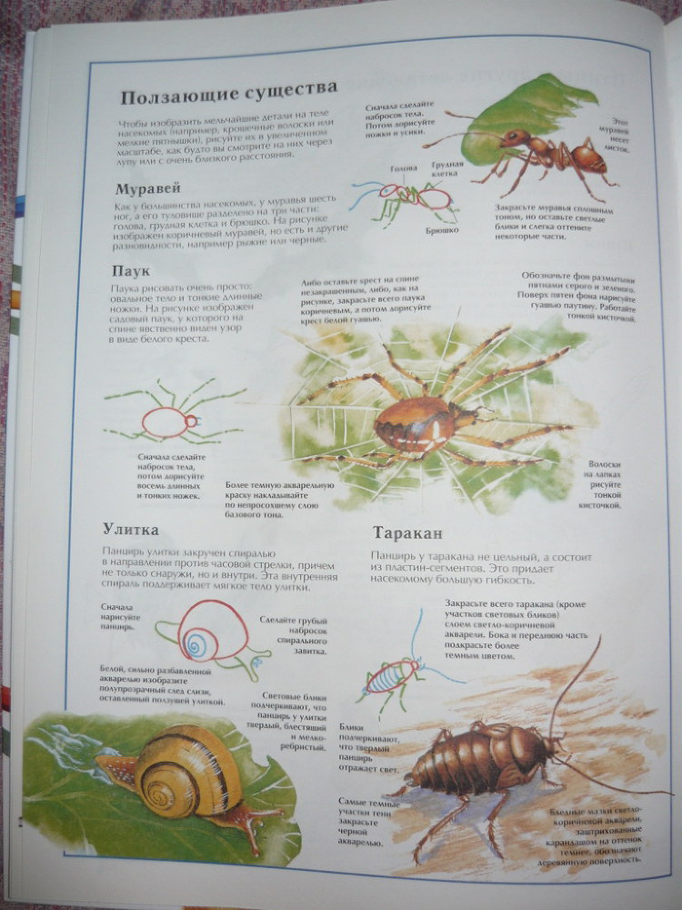 Энциклопедия рисования - _46.jpg