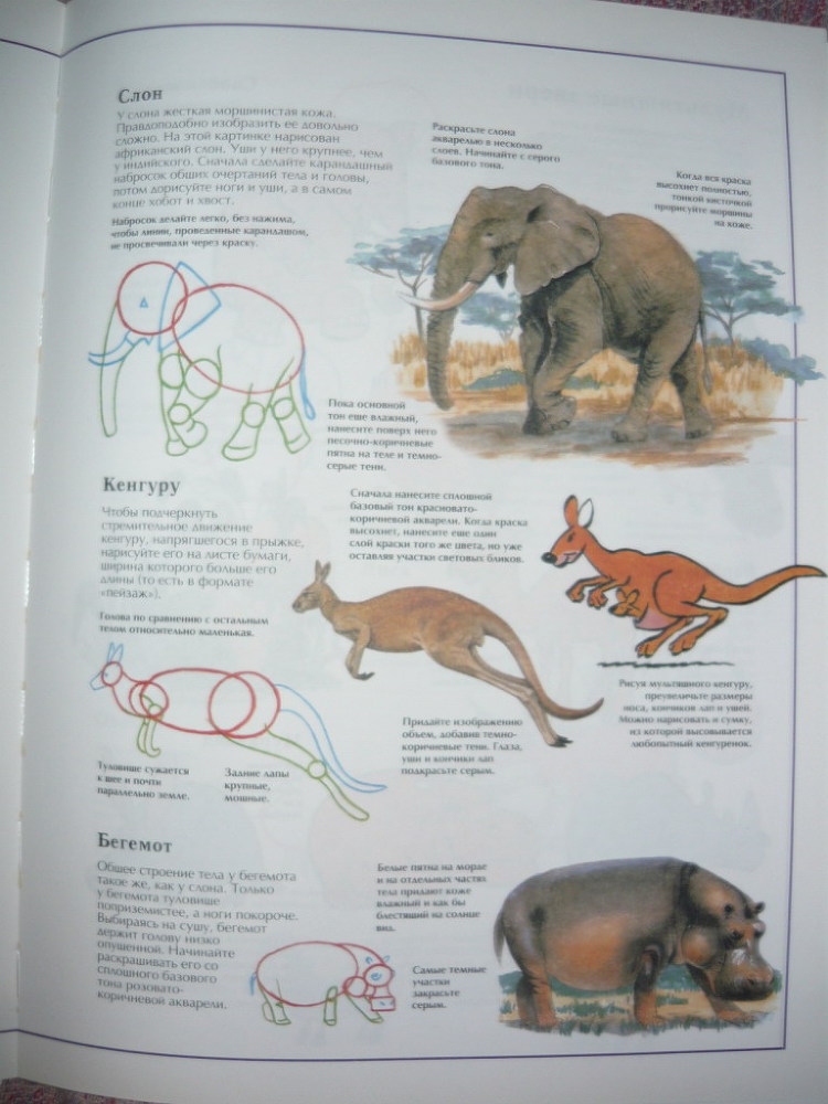 Энциклопедия рисования - _41.jpg