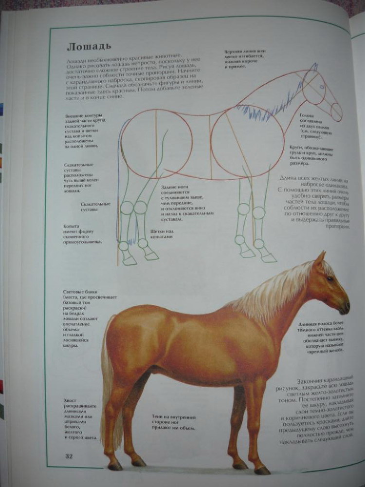 Энциклопедия рисования - _32.jpg