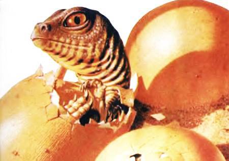 Юный техник, 2000 № 06 - _07.jpg