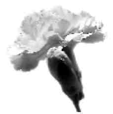 Язык символов - i_006.jpg