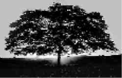 Язык символов - i_007.jpg