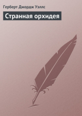 Странная орхидея - автор Уэллс Герберт Джордж 