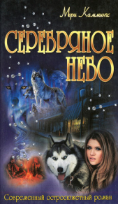Серебряное небо - автор Каммингс Мери 
