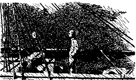 Золотая цепь. Дорога никуда - pic_6.png