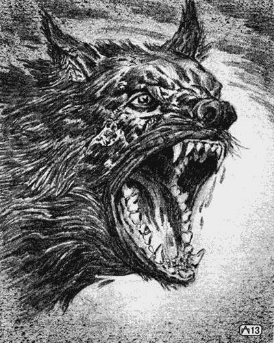 Запах страха. Коллекция ужаса - _19.jpg