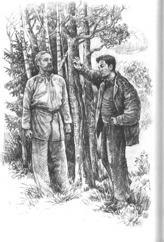 Запах цветущего кедра - image30.jpg