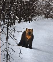 Ох, охота! - i_009.jpg