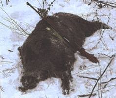 Ох, охота! - i_028.jpg