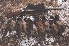 Ох, охота! - i_037.jpg