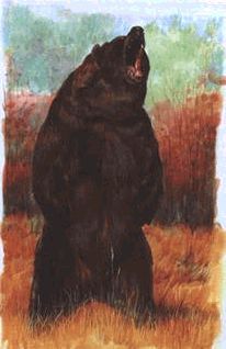 Ох, охота! - i_041.jpg