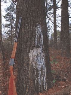 Ох, охота! - i_050.jpg