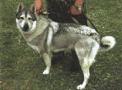 Ох, охота! - i_089.jpg