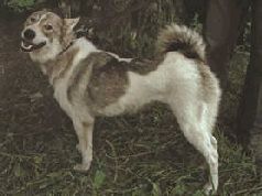 Ох, охота! - i_090.jpg