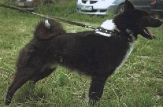 Ох, охота! - i_091.jpg