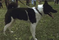 Ох, охота! - i_092.jpg