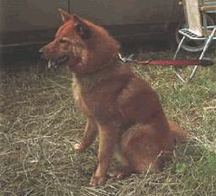 Ох, охота! - i_093.jpg