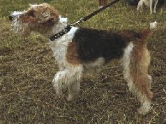 Ох, охота! - i_108.jpg