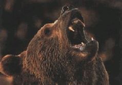 Ох, охота! - i_118.jpg